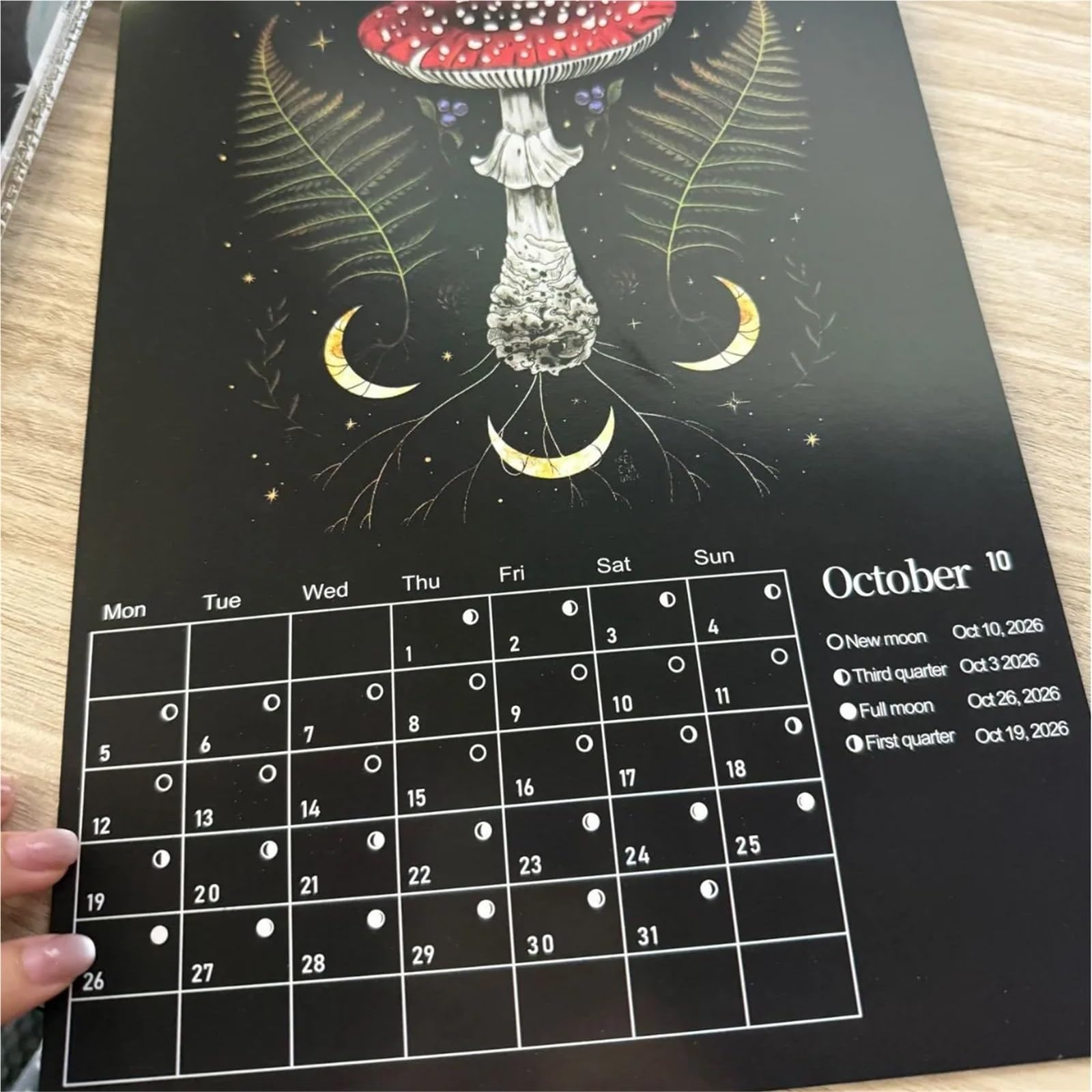 Calendario Calendario 2026 della Foresta Oscura Art House Lunare