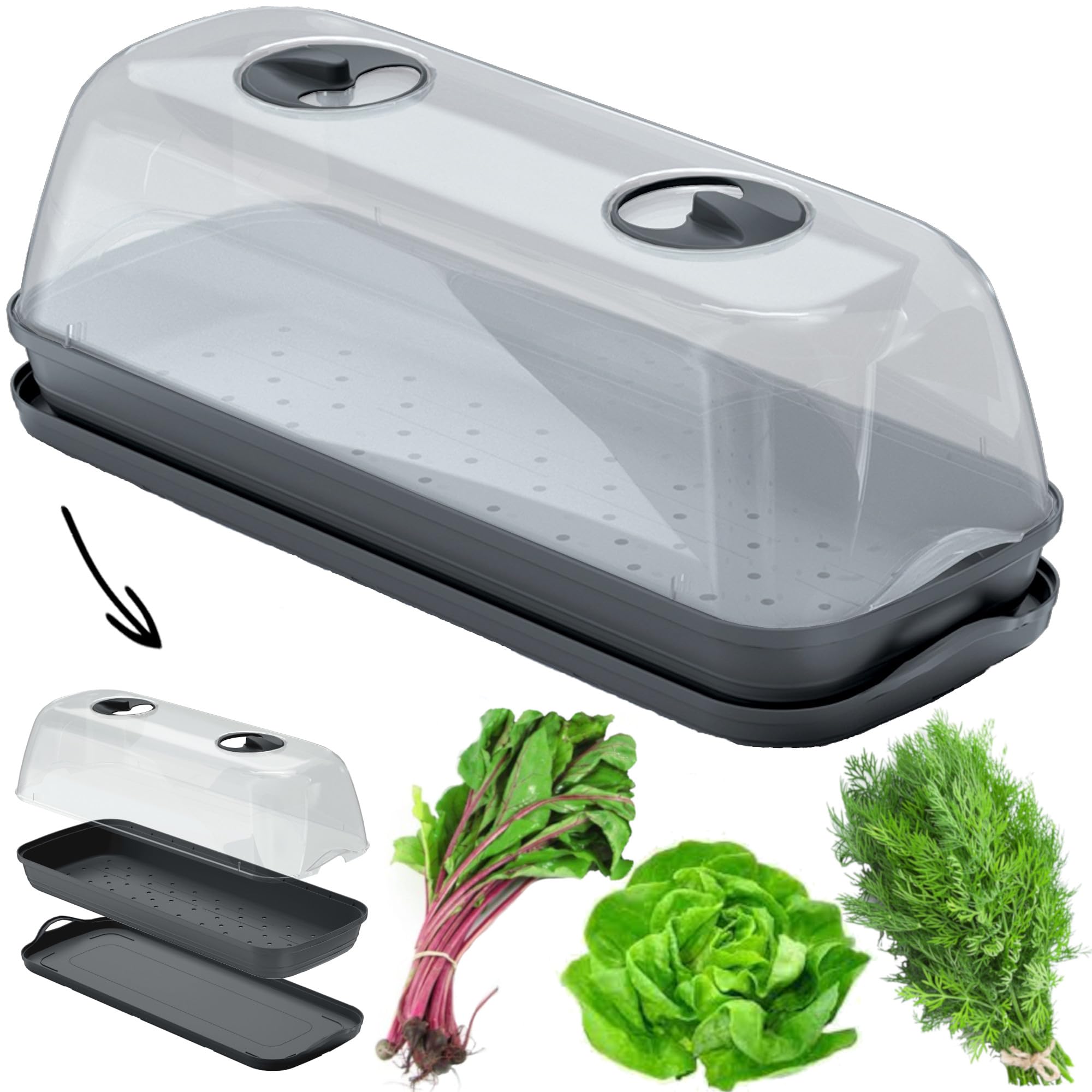Mini serre de plantation - Anthracite - 51,5 x 18,5 cm - Jardinière avec couvercle - Jardinière surélevée - Pot de fleurs - Culture de légumes - Garde-robe - Jardin urbain frais dans la maison