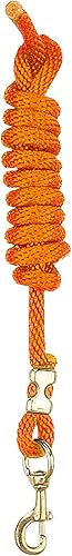 Miniatura 5 de Perri's Correa de nailon de poliéster con broche, 8 pies