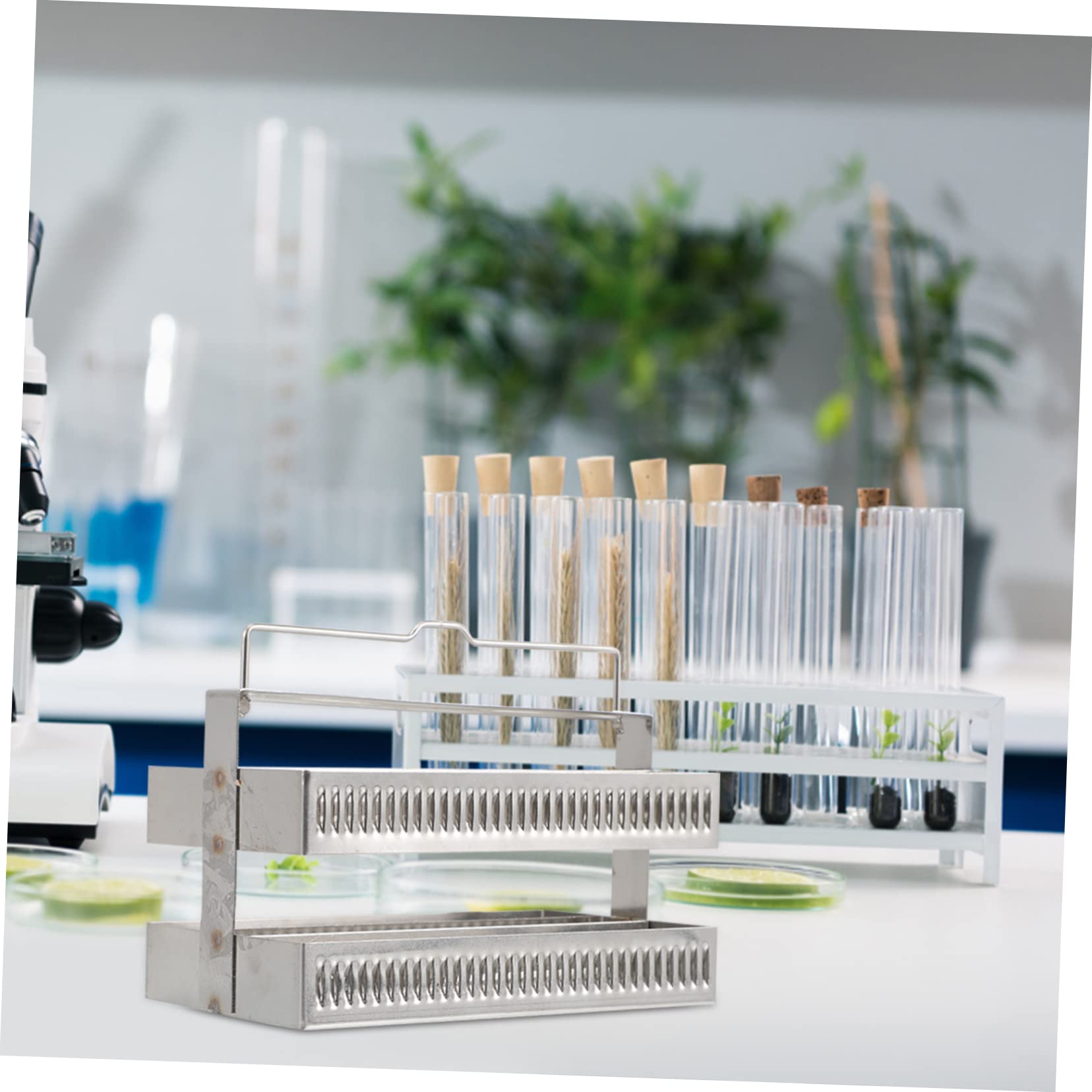 LABRIMP 2pezzi Per Vetrini Inossidabile Posizioni Rack Per Essiccazione Vetrini Microscopio Strumento Per Laboratori