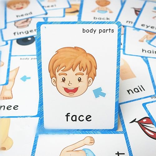 Miniatura 5 de SANTSUN Juego de tarjetas didácticas para niños, tarjetas didácticas de aprendizaje con imágenes y palabras, partes del cuerpo, perforadas con