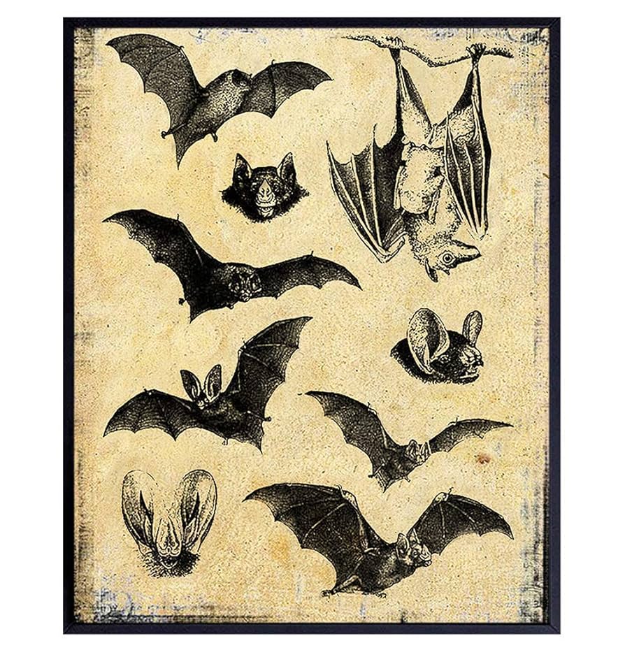 Amazon.com: Bats Wall Decor Picture - Gothic Medieval