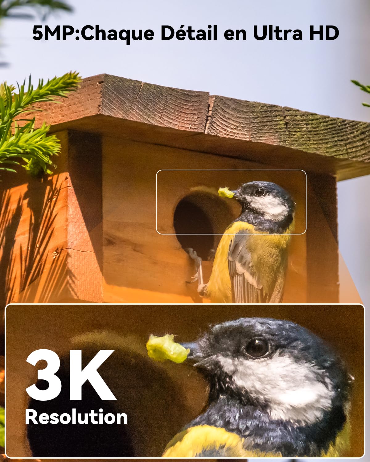 Imou 3K(5MP) Caméra Surveillance WiFi Extérieure sans Fil Solaire, Camera Solaire Exterieur avec IA Détection Humaine, Vision Nocturne Couleur, Audio Bidirectionnel,Mode Privé,Sirène,Étanche IP66