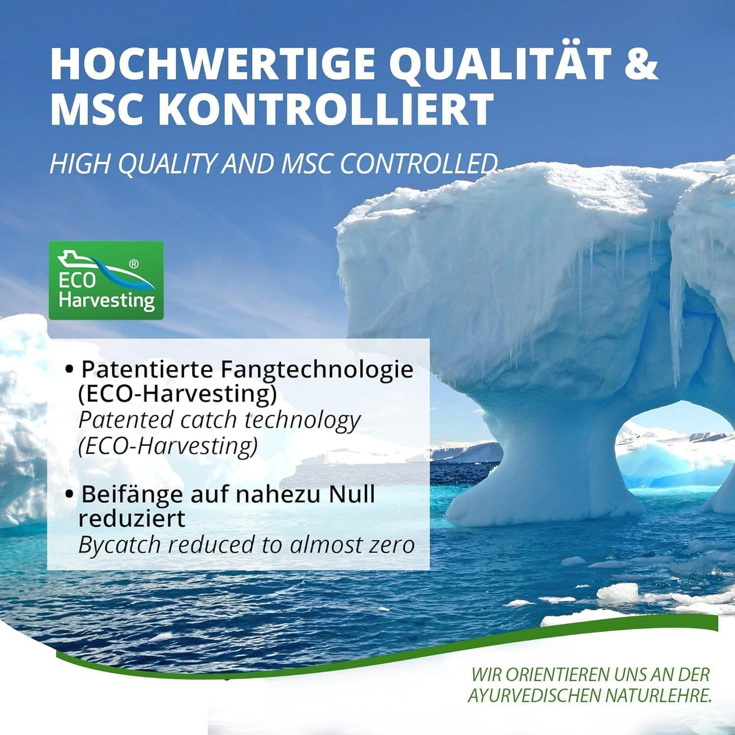 MoriVeda Superba Premium Krillöl, Softgel Caps, mit revolutionärem Omega 3 Öl, verestertem Astaxanthin, Antioxidantien und Vitaminen, MSC-zertifiziert & nachhaltig, 180 Stück
