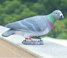 鳩の置物 鳩の置物 白 ピジョン タイプ 鳥 えんぎものの置物 とり 動物