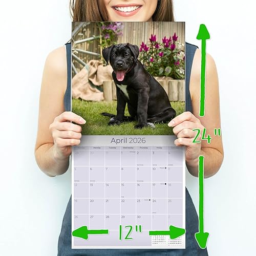 Miniatura 8 de Calendario 2025 2026 de American Staffordshire Terrier  Calendario mensual de pared de raza de perro  12" x 24" abierto  Papel grueso sin sangrado
