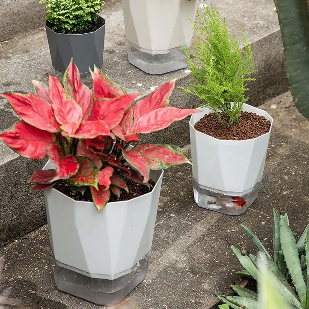 Lot de 6 conteneurs à arrosage automatique pour plantes avec coque double couche et gestion du drainage pour intérieur et extérieur (taille XL)