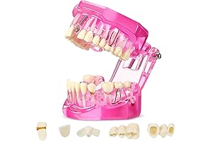  Dentist Kit for Kids Realistic 9-12 Tiktok