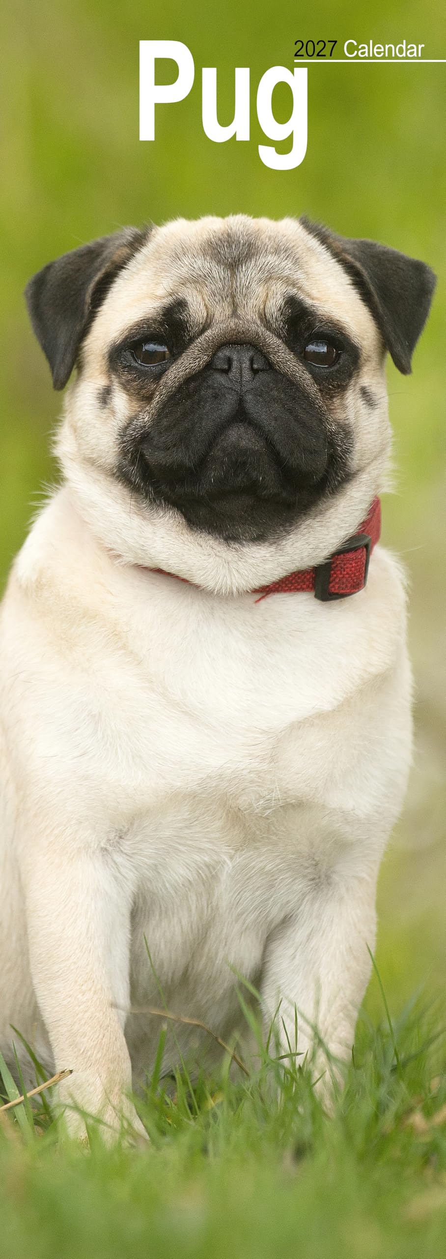 Pug Slim Calendar 2027, Wall Calendars, Month To View, Dogs, Gift