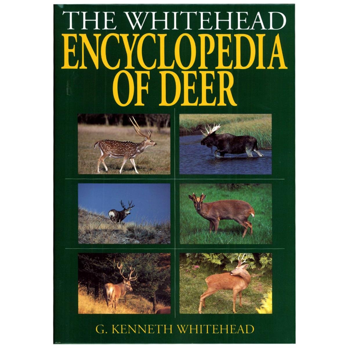 THE WHITEHEAD ENCYCLOPEDIA visual data 6