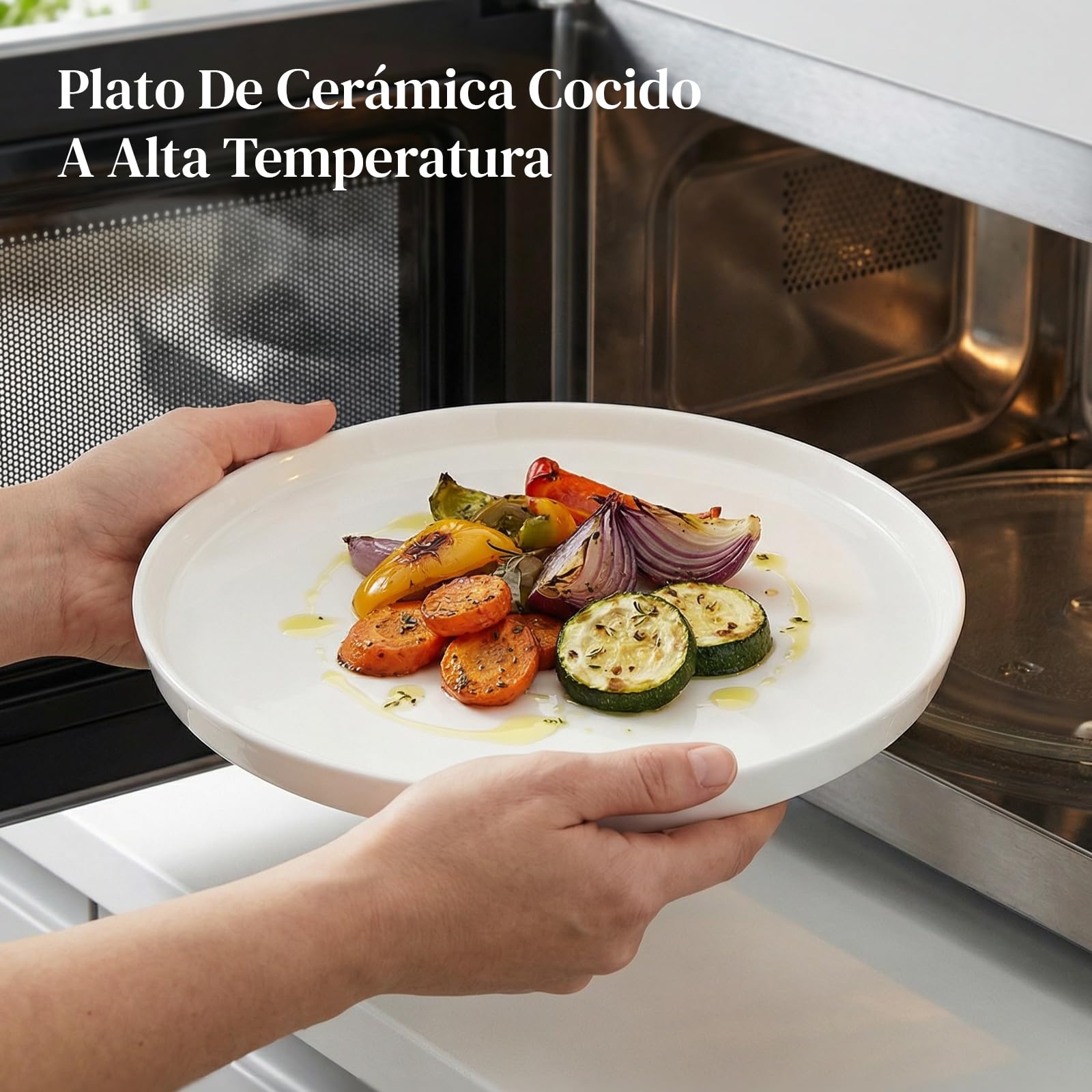 DOWAN Juego de 6 platos llanos de cerámica de 10 pulgadas para ensalada, pasta y bistec