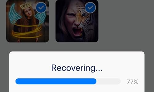 Clever File Recovery Professional thumb #6