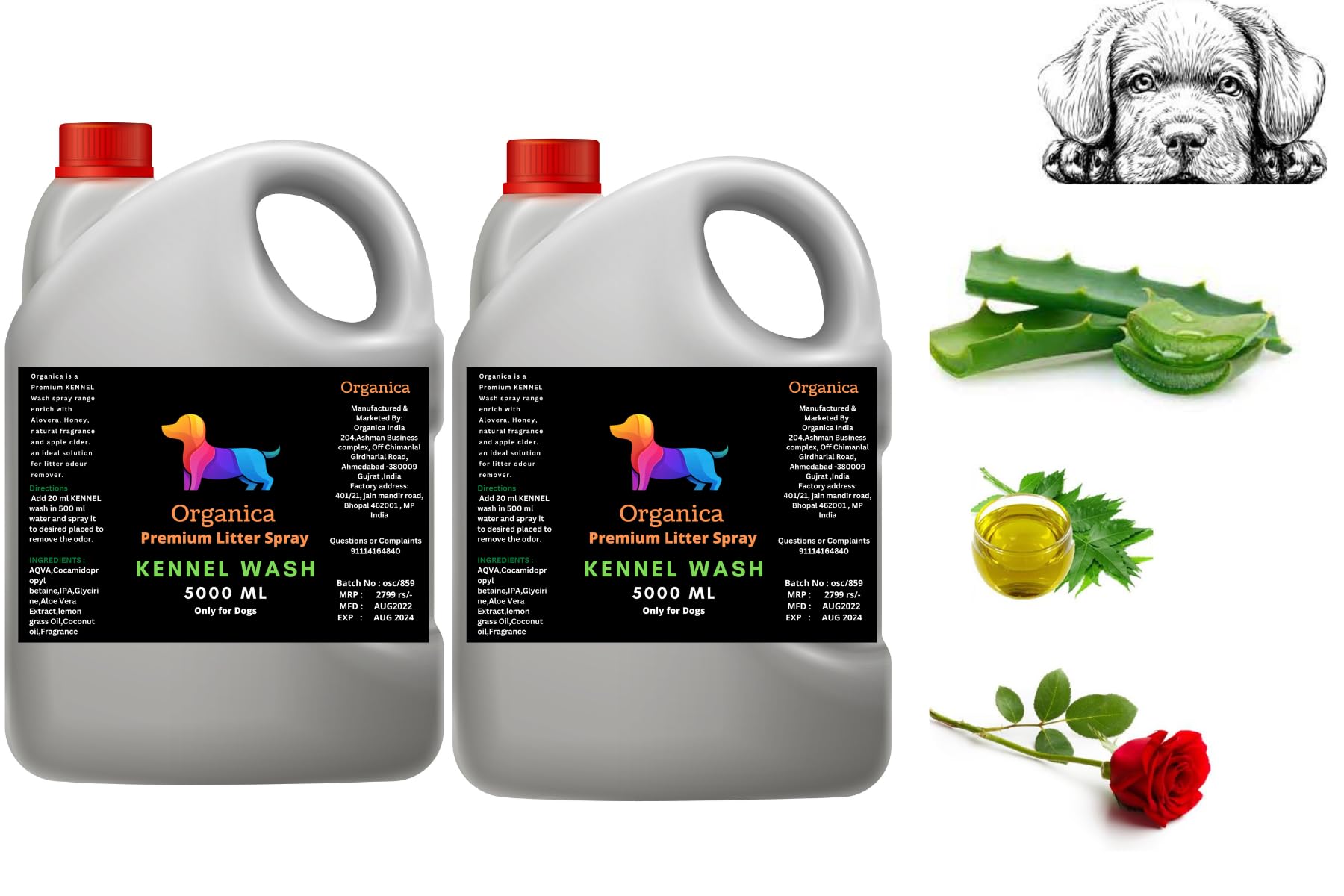 See full amazon price history chart for Organica Kennel Wash | Kennel Cleaner | Pet Floor Cleaner | Pet Area freshener | Odour Neutralizer | Anti microbial | Disinfectant | Super Concentrate | Orange Power (500 ML) Organica Kennel Wash | Kennel Cleaner | Pet Floor Cleaner | Pet Area freshener | Odour Neutralizer | Anti microbial | Disinfectant | Super Concentrate | Orange Power (500 ML) (B0CS6Z31CK) Amazon Price History, Amazon Price Tracker