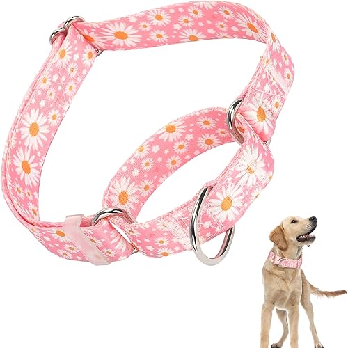 Collar Martingale para perros medianos y grandes, collares para perras hembras con nailon suave ajustable y diseño floral especial de margarita