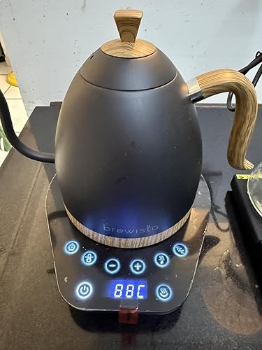 Amazon | Brewista Artisan 電気グースネックケトル、LCDパネル付き