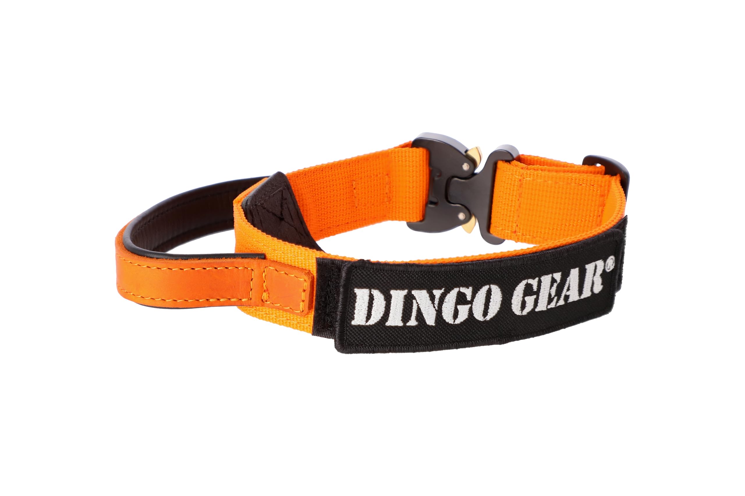 DINGO GEAR Obroża dla psa Cobra z profesjonalną klamrą bezpieczeństwa, mocnym uchwytem i etykietą mocowana za pomocą zapięcia na rzepy, do treningu obronnego, zadań specjalnych, obwód szyi 49-59 cm