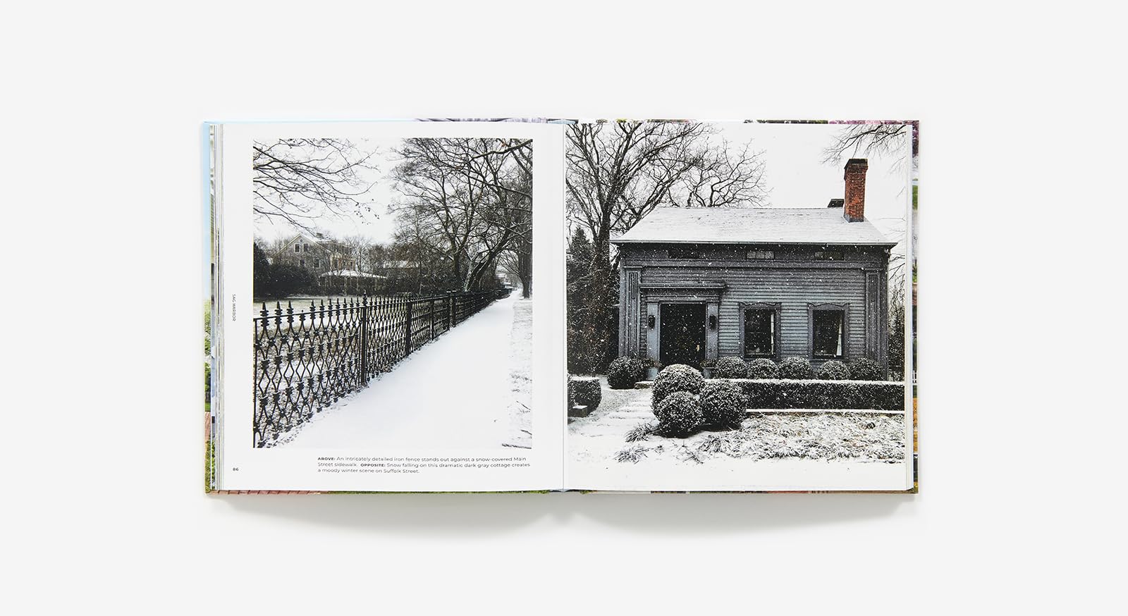 Walk With Me: Hamptons : Photographs
