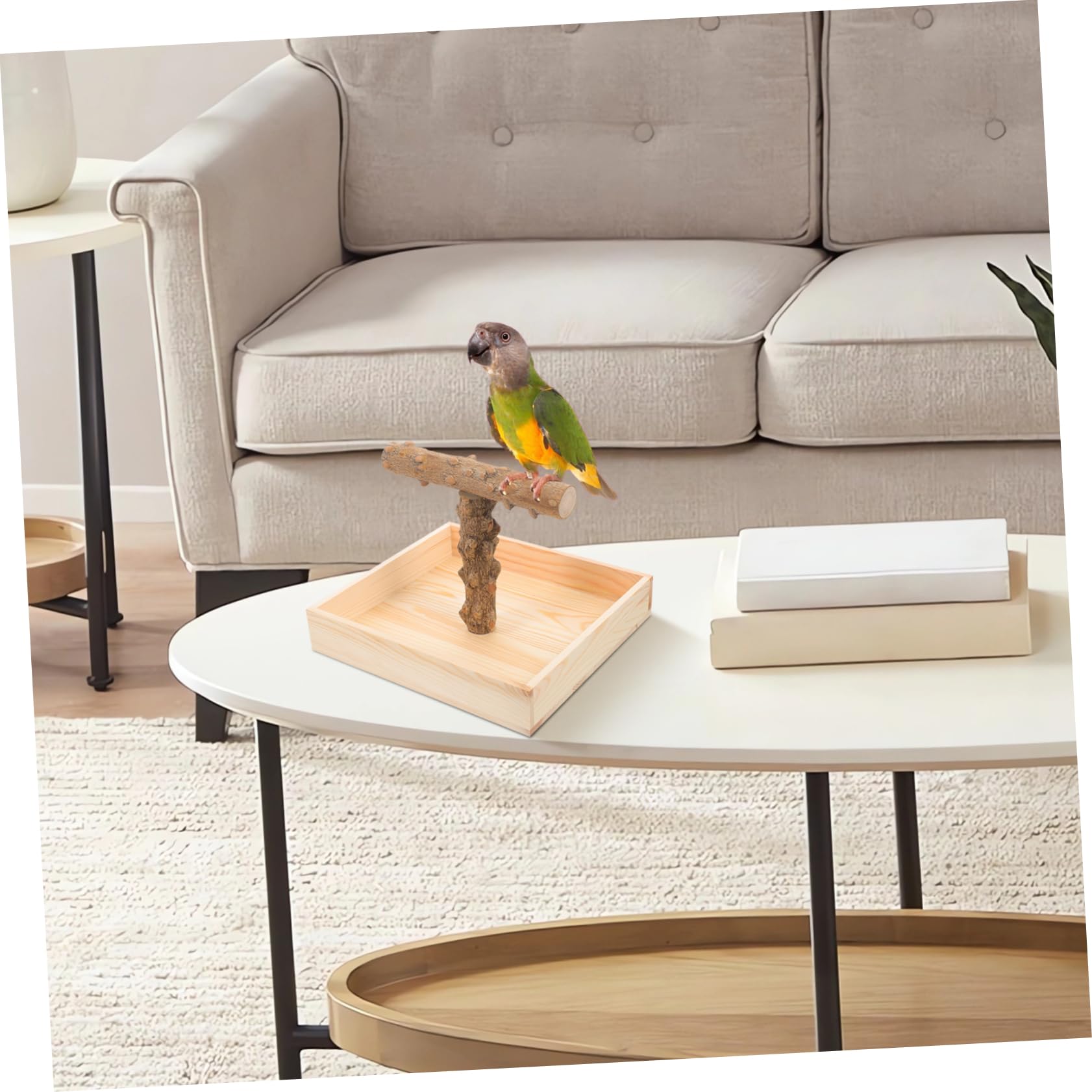 Sosoport Vogel Sitzstange Für Papageien Natürliche Standvorrichtung Für Käfige Oder Tische Für Cockatiels Nymphensittiche Und Andere Kleine Vögel Und Für Spiel Und