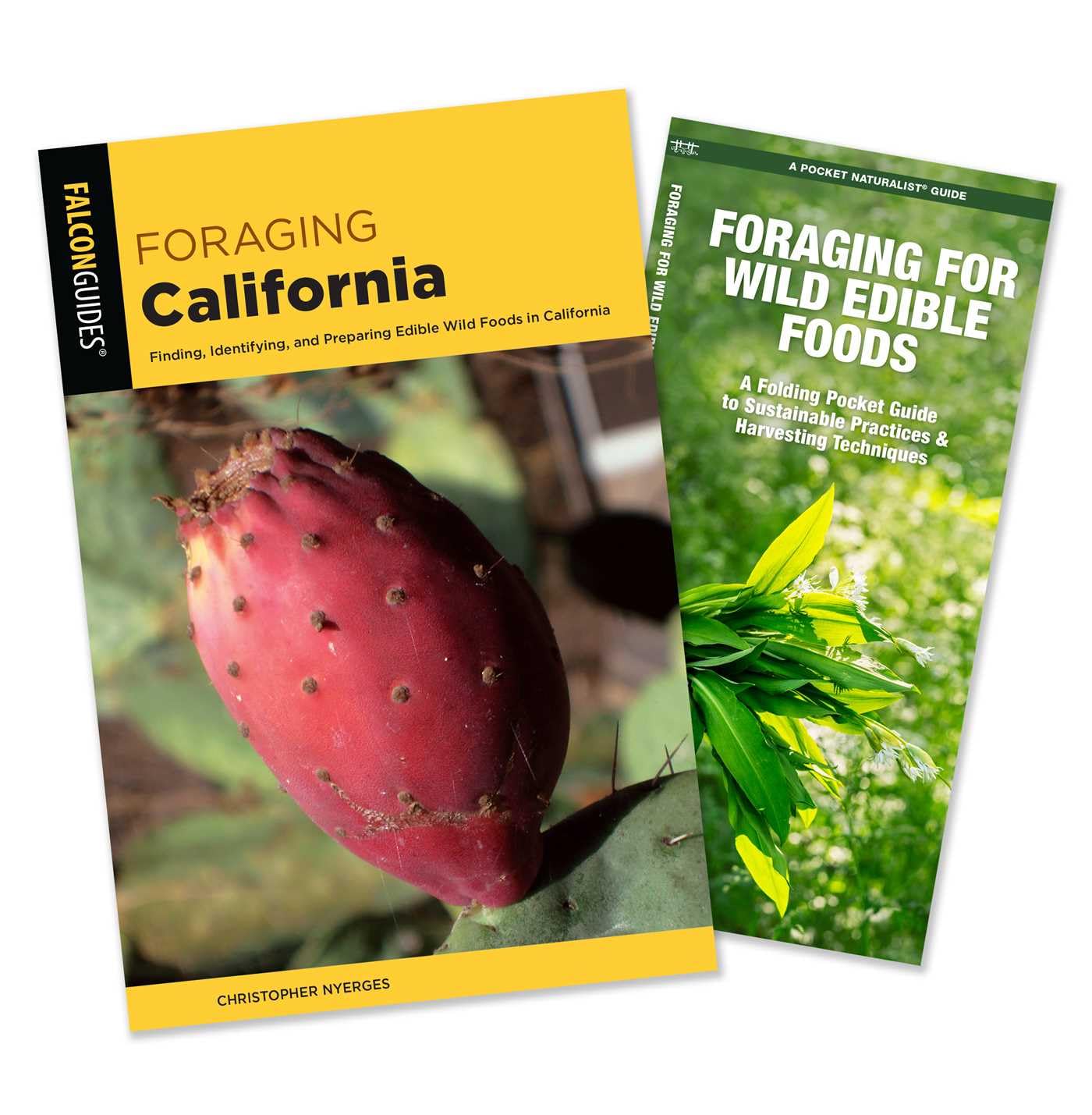 Foraging California Guidebook and Folding Pocket Guide Bundle: Finding, Identifying, and Preparing Edible Wild Foods in California