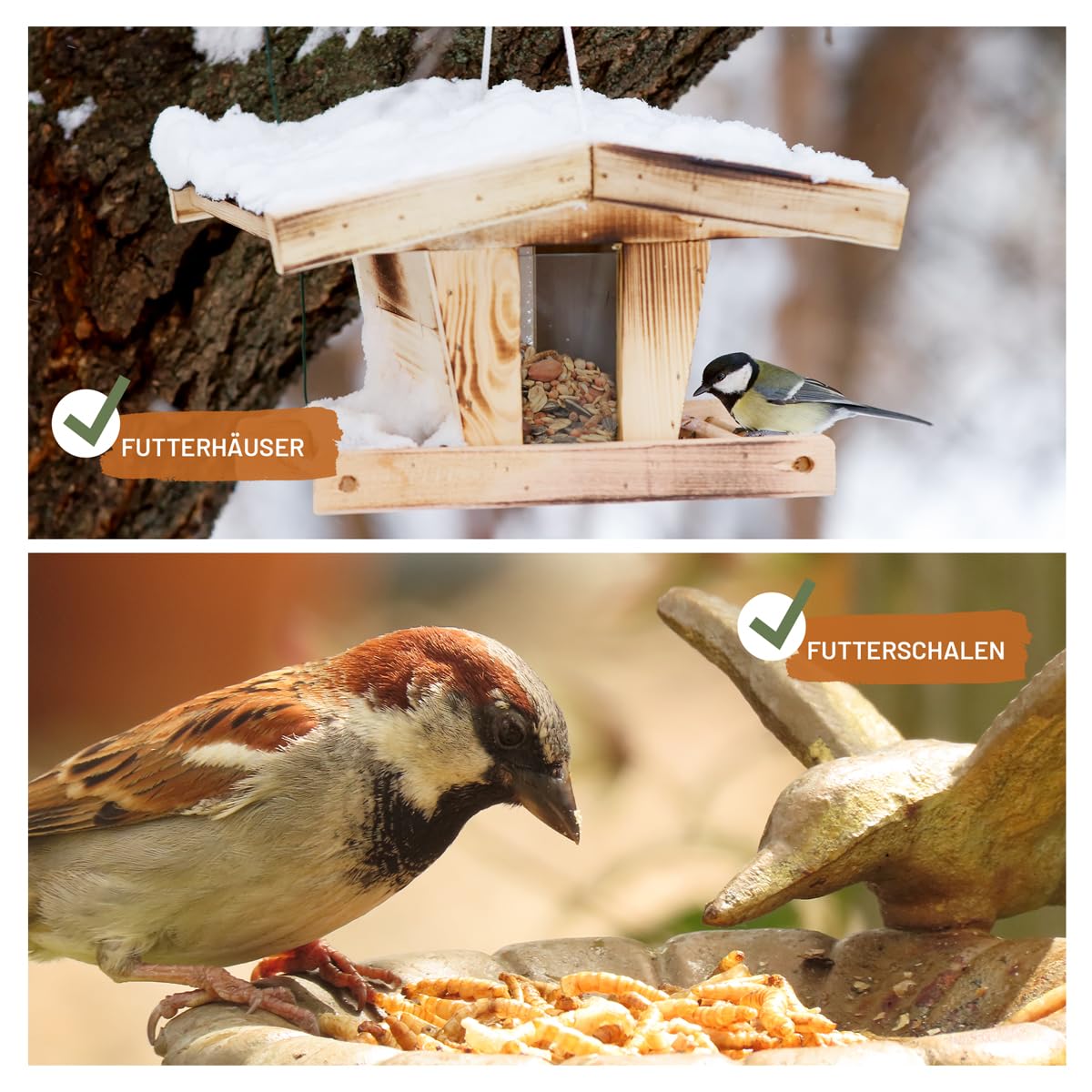 wildtier liebe Vogeltraum Mélange d'insectes de qualité supérieure 2,5 l I Vers de farine séchés, larves d'insectes et gamarus pour oiseaux I Vers de farine séchés, nourriture pour oiseaux sauvages,