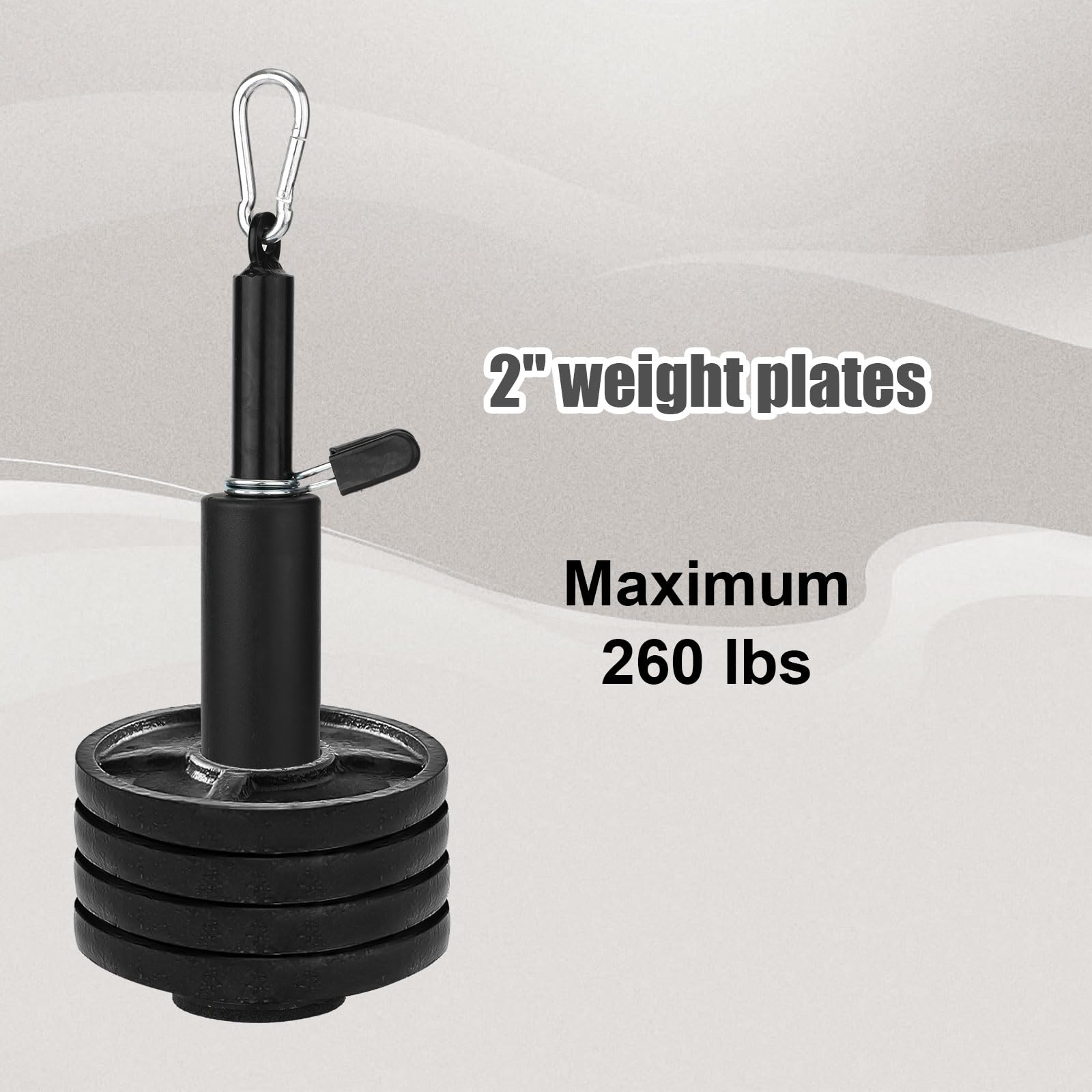 NQEUEPN Perni Carico per Piastra Pesi, Adatti Perni di Caricamento Macchine per Cavi Piastra Pesi Standard da 2,54cm e 5,08cm Perni Palestra per Attrezzature da Allenamento Palestra a Casa