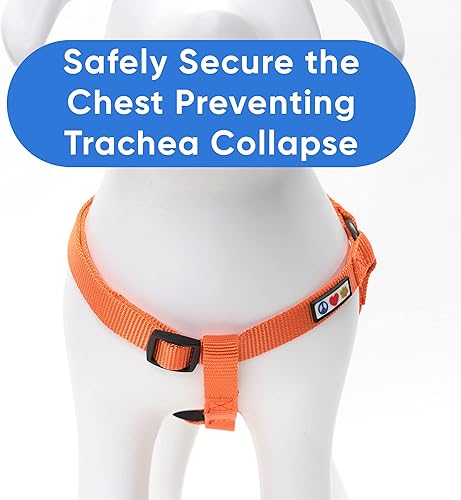 Miniatura 5 de Pawtitas - Arnés de color sólido para perro o chaleco, arnés de entrenamiento para perro para que camines con tu cachorro, arnés para perro grande,