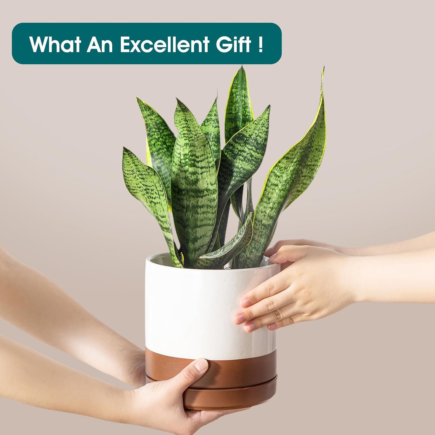 vancasso Ceramic Pots for Plants, Plant Pots for Indoor Plants, 6.25+8.25+10.25 Inch Ceramic Planters, Flower Pots with Drainage Holes, Planters Pot for Indoor House Plant, Set of 3, Khaki - Image 4