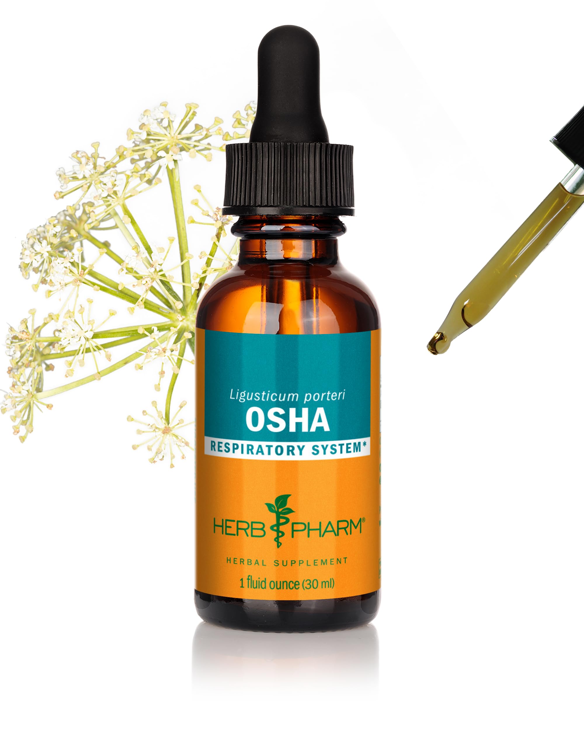 Herb Pharm Osha Root Liquid Extract for Respiratory Support - 1 Ounce