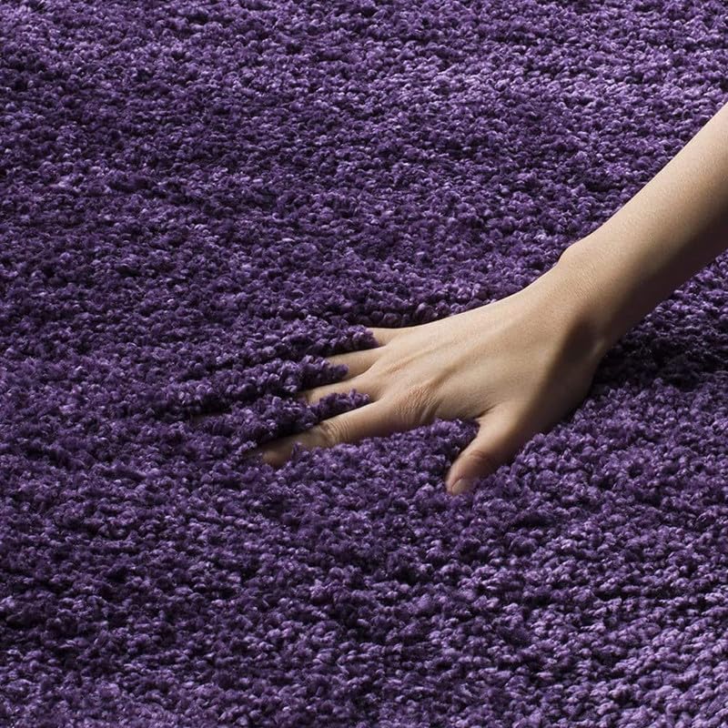 Image of Carpet for Living Room 5X7 FEET Modern Soft Shaggy Carpet Thick, Fluffy & 2 inch Pile Shag Rug for Your Kids Room, Bedroom & Livingroom (Purple)