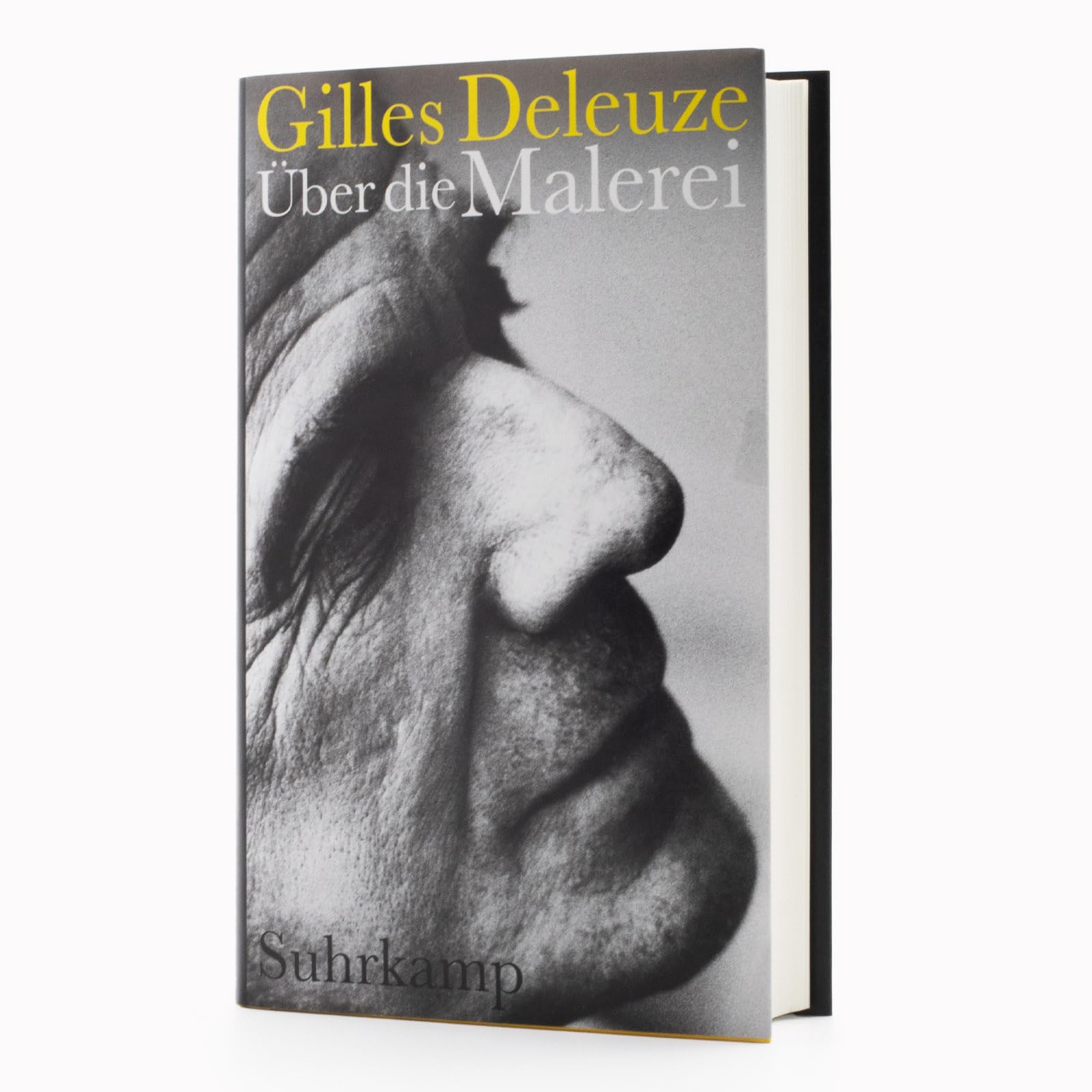Über die Malerei: Vorlesungen März-Juni 1981 | Die legendären Vorlesungen des großen Philosophen