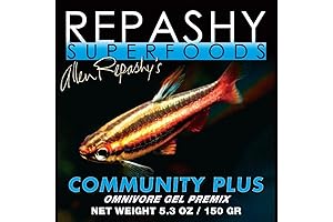 Repashy Community Plus: The Ultimate Bearded Dragon Food