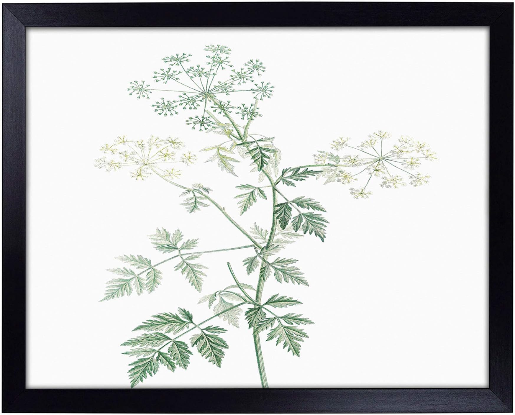 Lap Tray with Cushion | Hemlock Flowers by Pierre-Joseph Redoute | Padded Bean Bag Cushion | For Eating, Working, Crafting, Laptop | Portable Table Desk