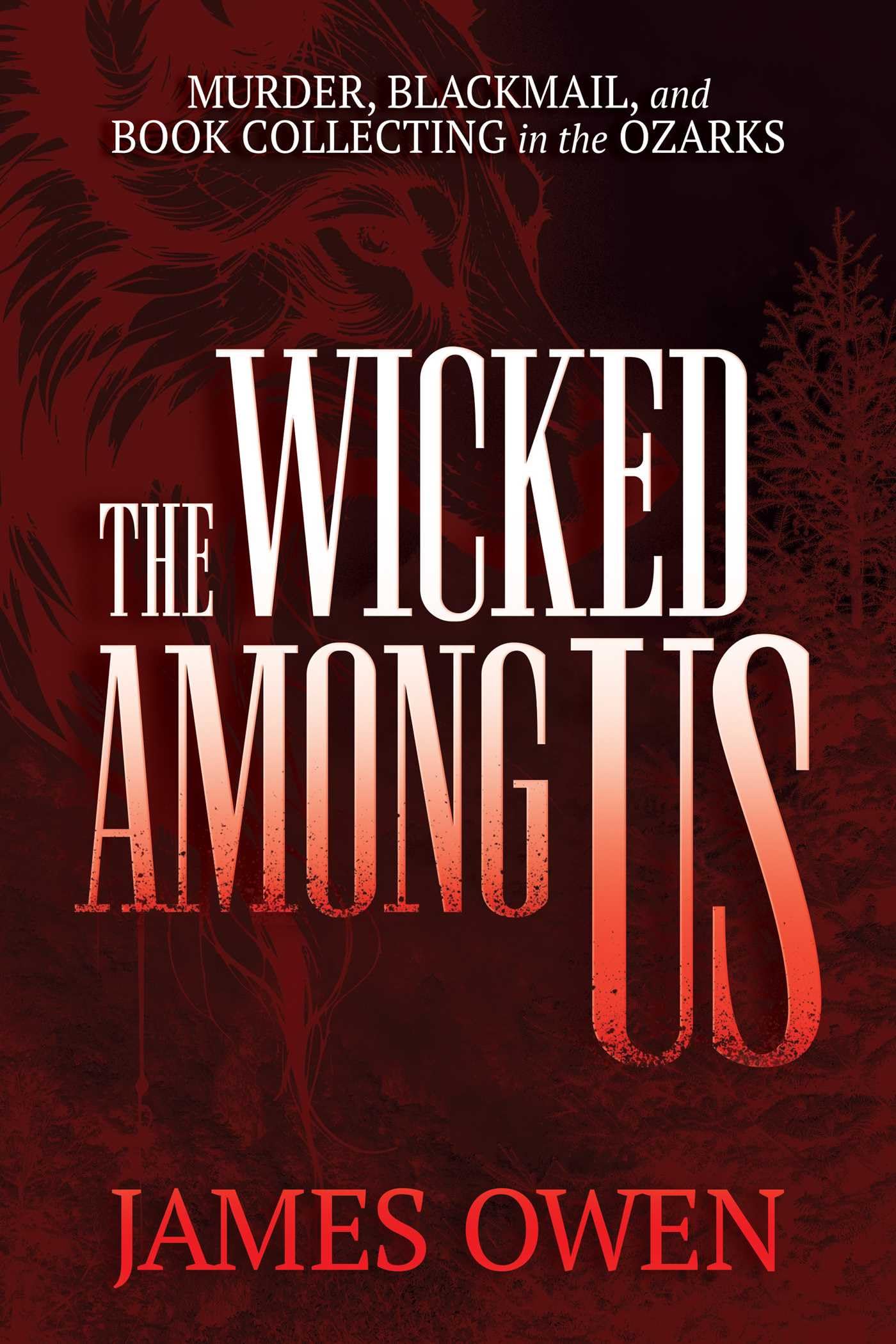 The Wicked Among Us by James Owen PAPERBACK 9798895652107