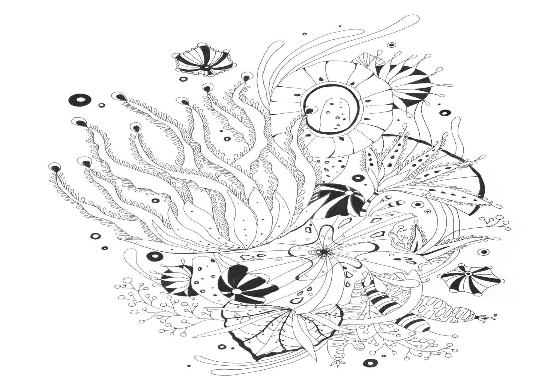 Botanical Wonderland: A Blissful Coloring Retreat (Coloring Wonderland)