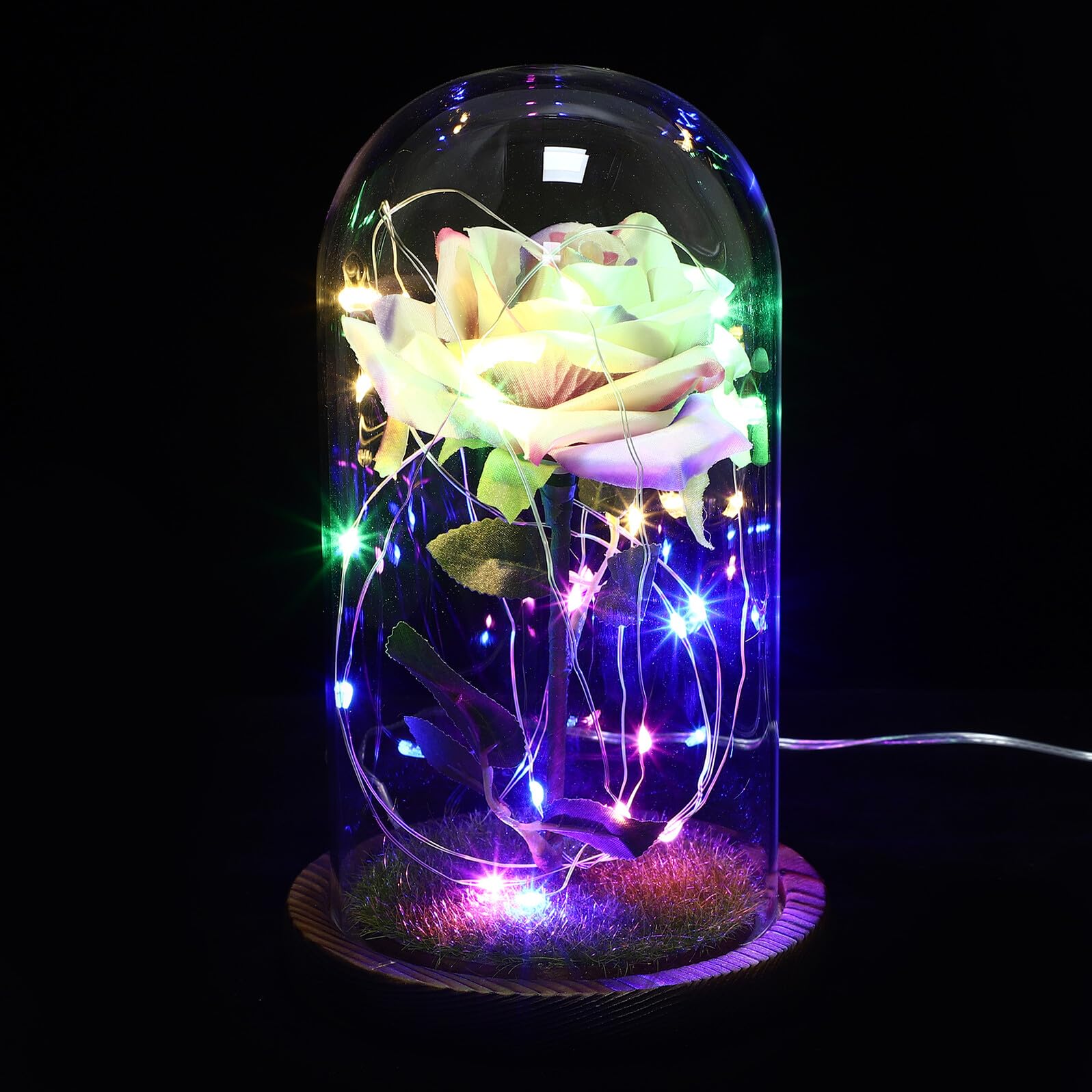 VOSAREA Luminous Rose LED Lamp with Glass Dome USB Powered D