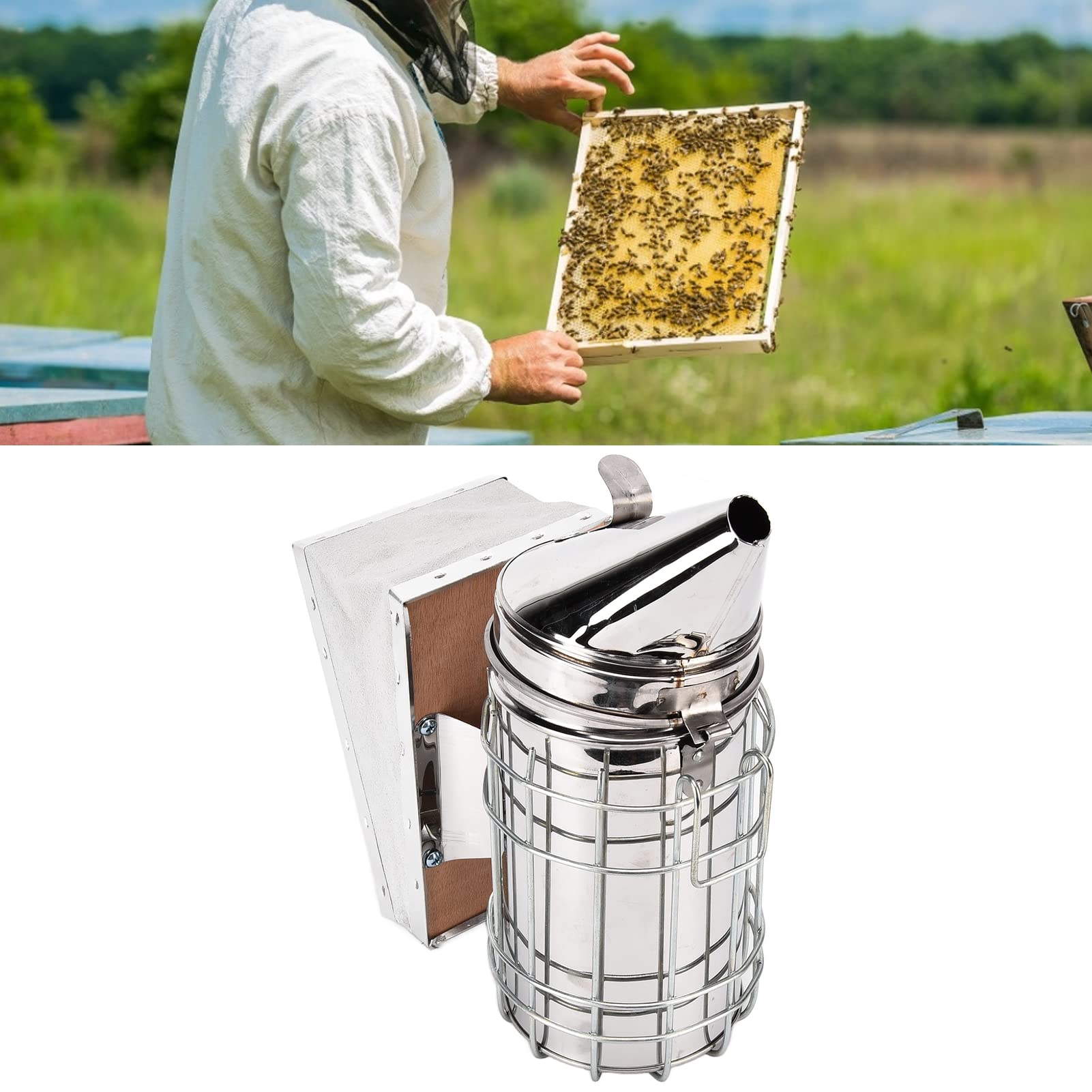 Kit di avvio per apicoltura Fumatore per alveare Raschietto per incorporamento di cavi Spazzola per api Fornisce strumenti per apicoltori