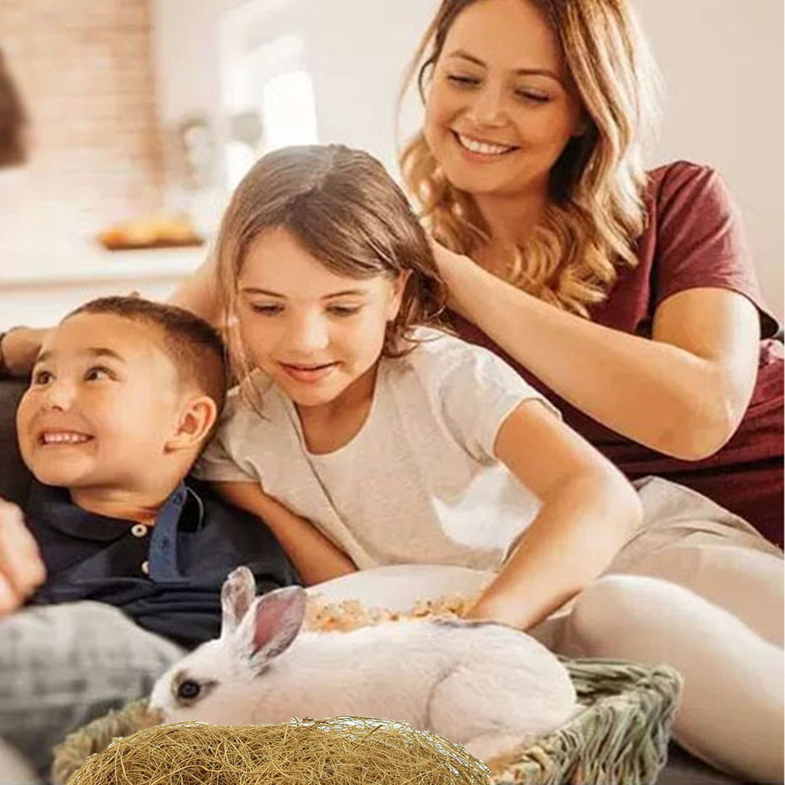 Fulenyi Fibre De Coco, 100g Literie Confortable pour Petits Oiseaux Et Animaux, Matériau De Doublure pour Nid, Idéal pour La Construction De Nids Et Les Cachettes