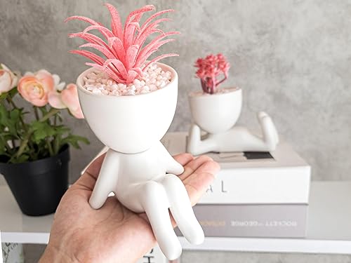 Miniatura 4 de OLEEK Pequeñas plantas falsas para decoración de estantes, regalo rosa, bonita decoración de oficina para mujeres, decoraciones de oficina para