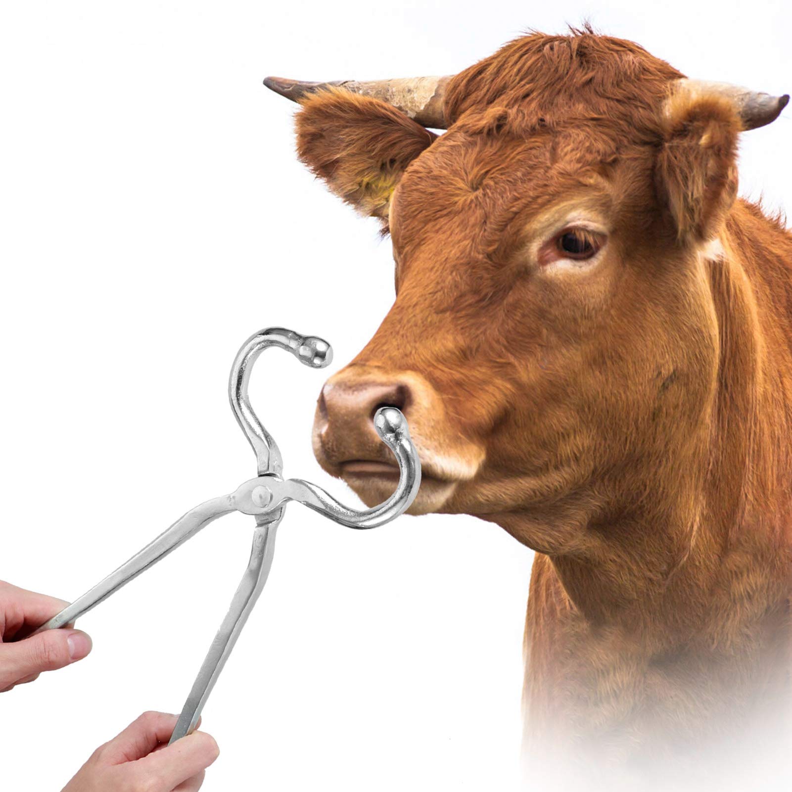 Pinza Nasale per Bovini a Manico Lungo Pinza Nasale a Clip Pratico Accessorio per Bestiame Gestione del Bestiame Bovino E Bovino