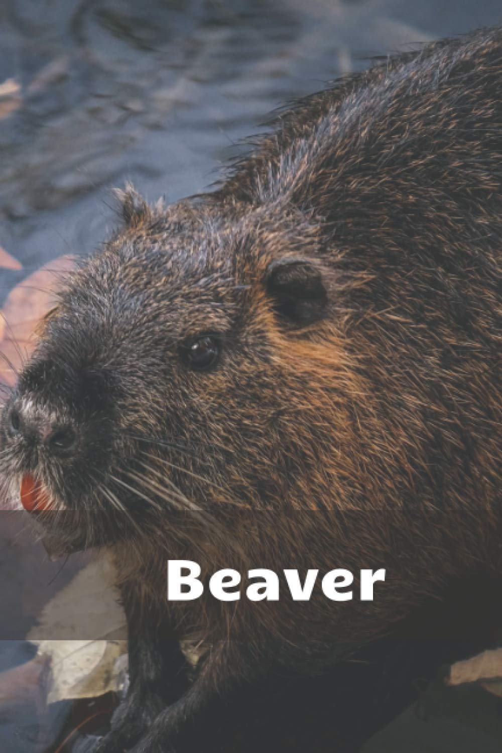 Beaver Notebook: Animal Notebook, Journal, Planner, Diary, for children and not only (Animals Notebooks)
