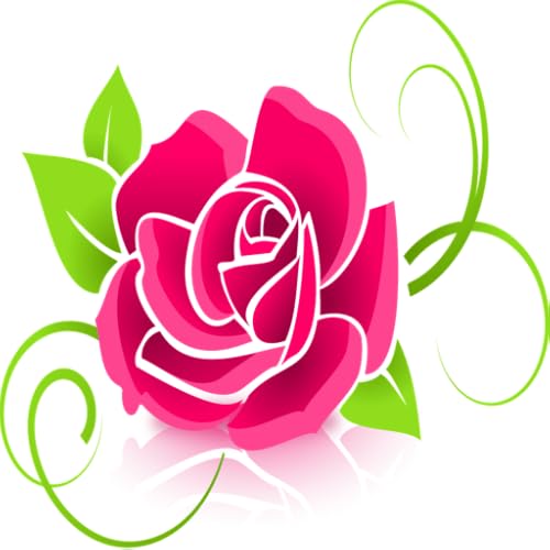 Fondo de pantalla de rosa HD