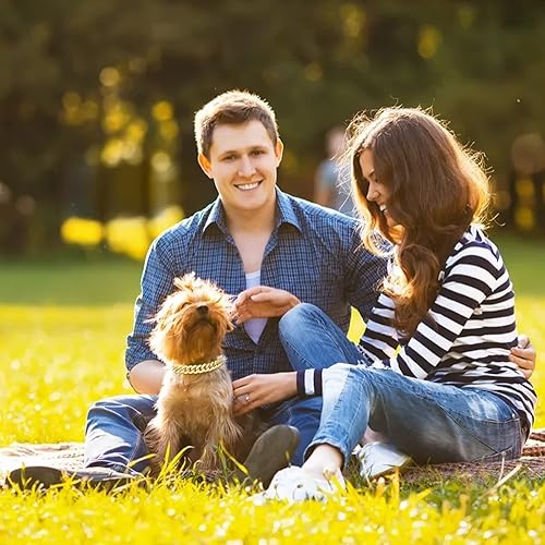 Miniatura 6 de Collar cubano plateado para perro, cadena de metal plateado para caminar con hebilla segura, collar de cristal cubano para mascotas, accesorios para