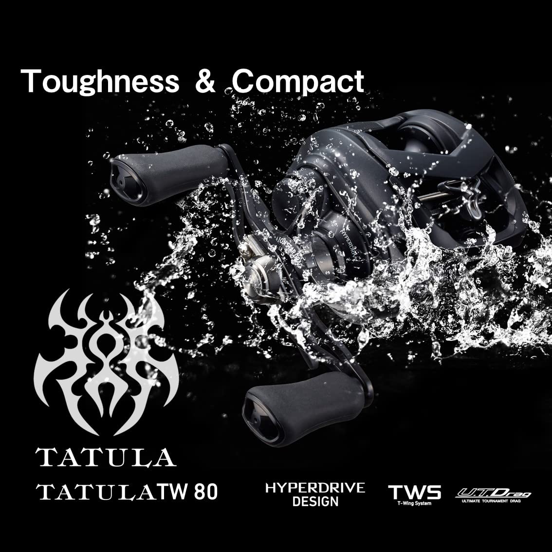 Daiwa Köderrolle 22 Tattooa TW 80H (Modell 2022) : Amazon.de 