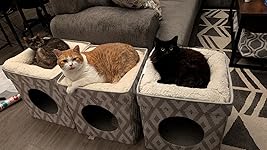 Review Image by Alexa Alexa