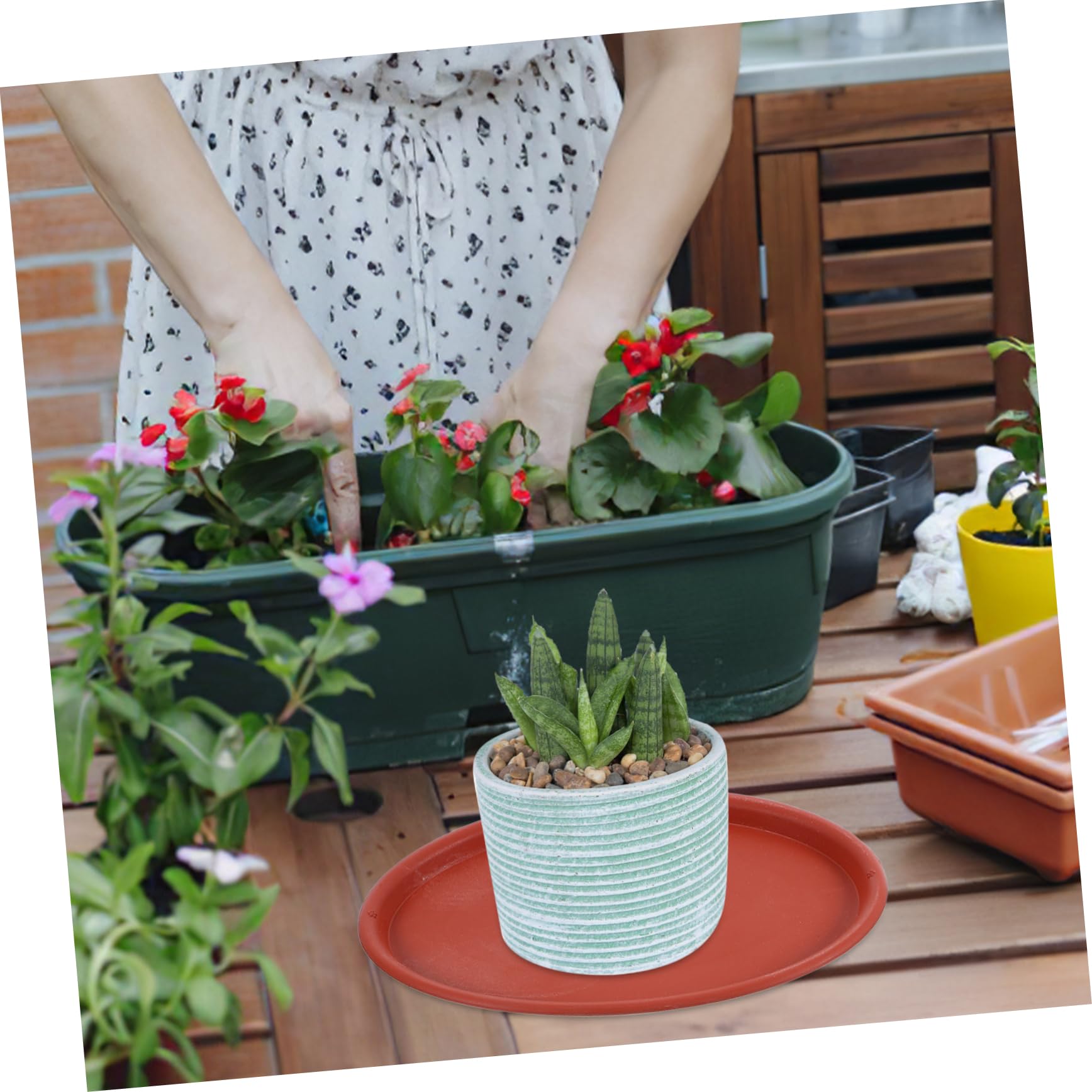 oval-water-drip-trays-4-pack-oval-plant-saucers-heavy-duty-plastic
