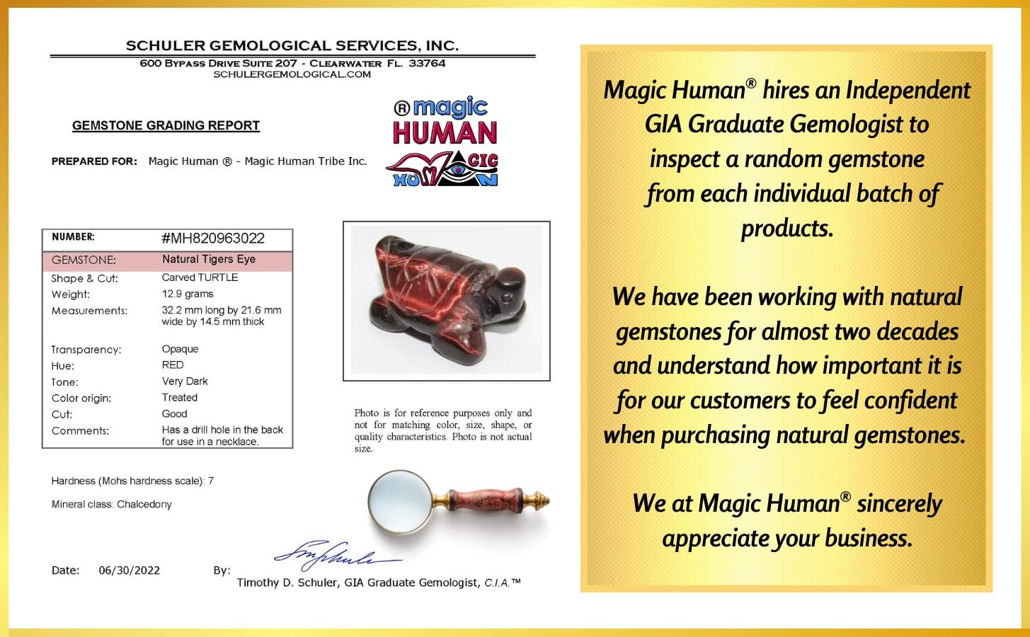 Magic Human Turtle Necklace - Sea Turtle Gifts for Women and - Crystals and Healing Stones - Lucky Amulets - Natural Gemstone Necklace - Small Good Luck Charms - Image 2