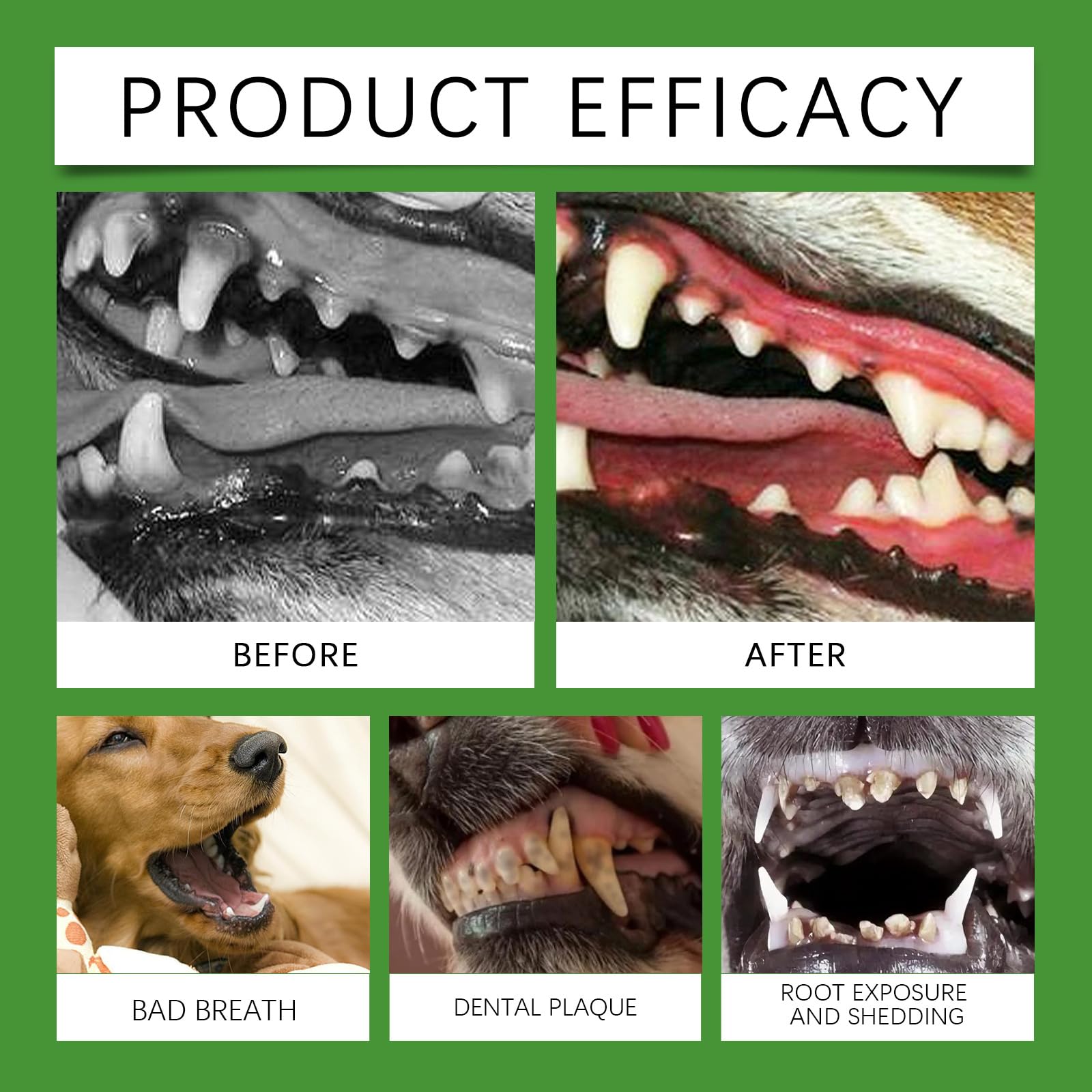 Polvo dental para perros para la limpieza dental, polvo para el cuidado dental de perros, polvo para limpieza dental sin cepillo, control de placa y sarro con probióticos, sabor a menta. (8 Cajas)