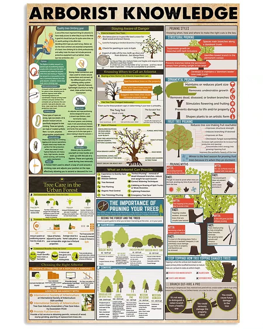 peiyeety Arborist Knowledge Metal Sign Arborist Science Infographic Posters For Home Decor Garden Gardener Home Club Wall Decor Plaque 8"x12"