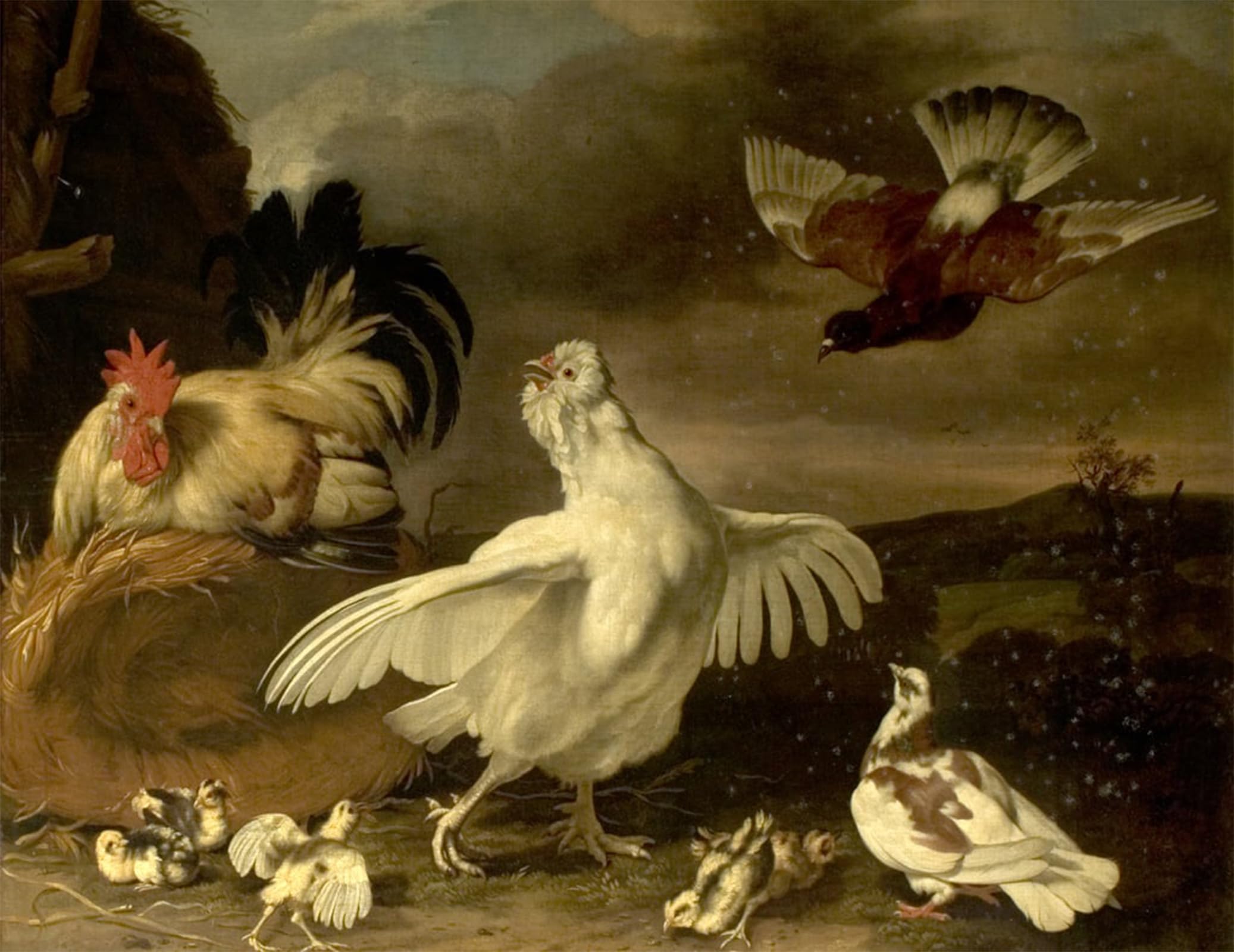POSTERIIk Famous Animal Posters Vintage Picture Cock and Hen with Chickens and Pigeons by Johannes Spruyt Modern Wall Decor for Home Decor 60x90cm
