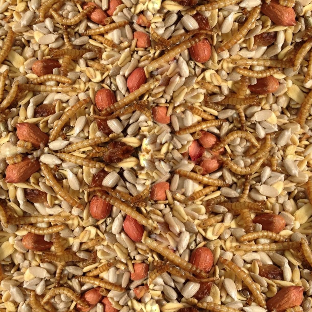 Pauls Mühle Wildvogelfutter Deluxe 25 kg | Vogelfutter für Wildvögel